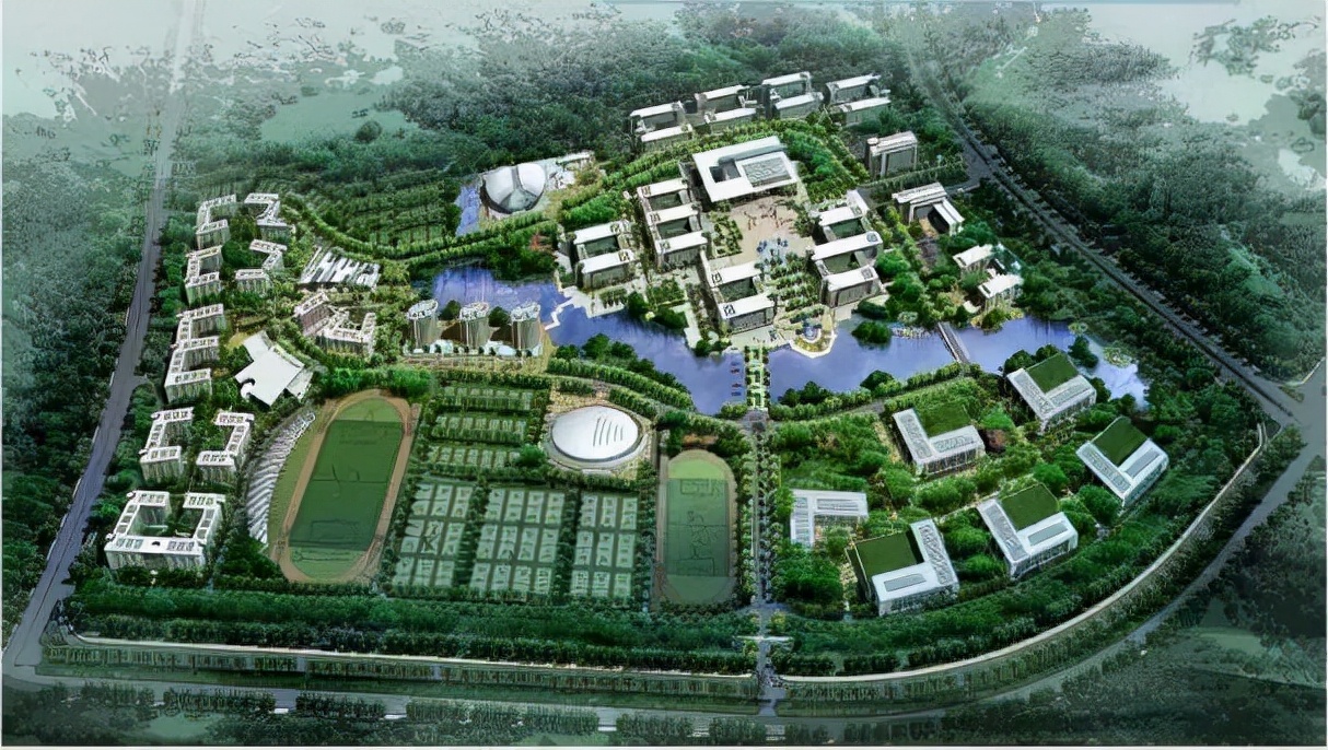 广东这两所专科高校专业实力不逊于本科，将在近几年升格本科