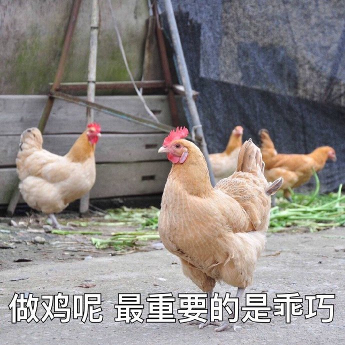 表情包：你这个小辣椒