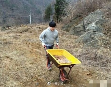 韓國“N号房”主犯为高材生！比成绩更重要的，是优秀健全的品行