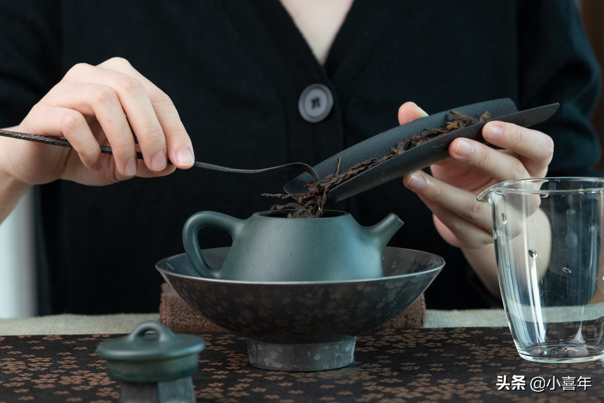 麻黑古树茶的特点（一文详解麻黑古树茶的特色）