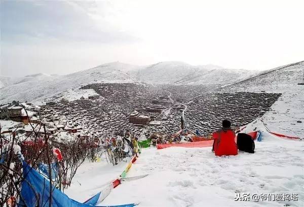 红墙，白雪，琉璃瓦，大雪压青松