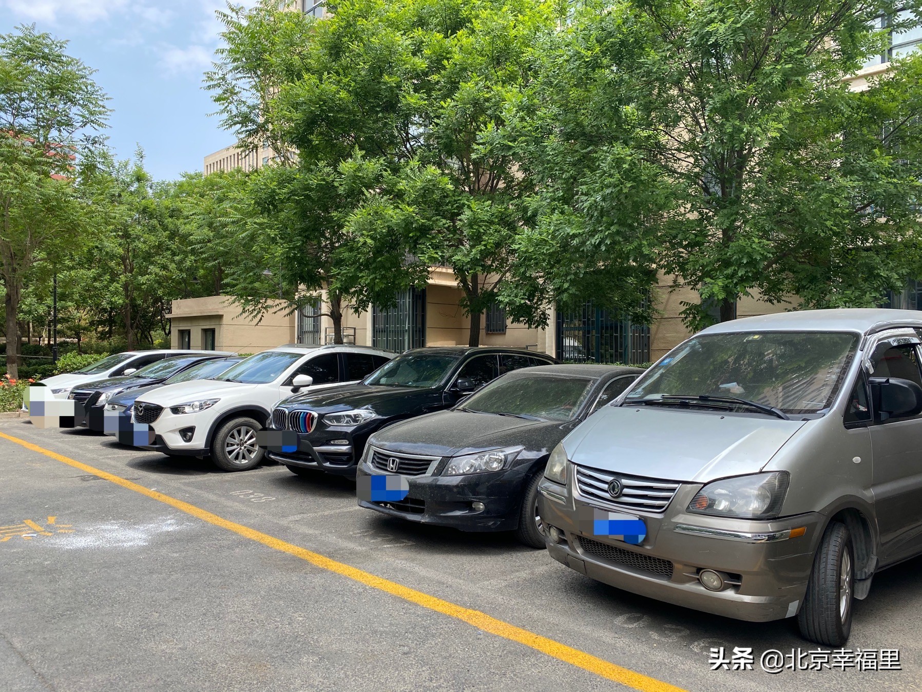 开门见绿、出门看花，城南这个花园式小区你喜欢吗？