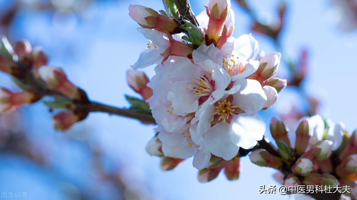 畏寒怕冷，脚心出汗，经常干呕型肾虚，中医如何调理？