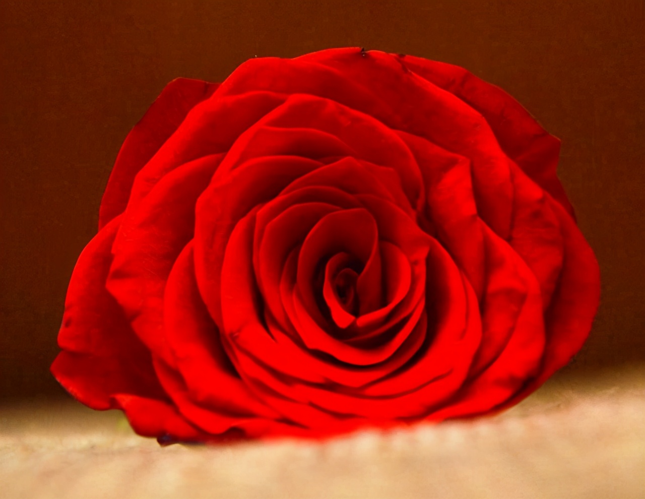 往后余生，做一个“聋哑”人，三不问