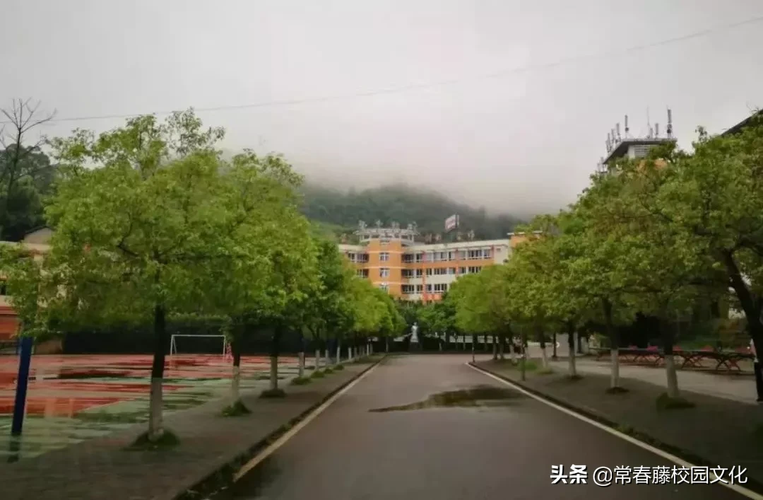 学校vi设计（重庆校园文化建设丨弘道养正）
