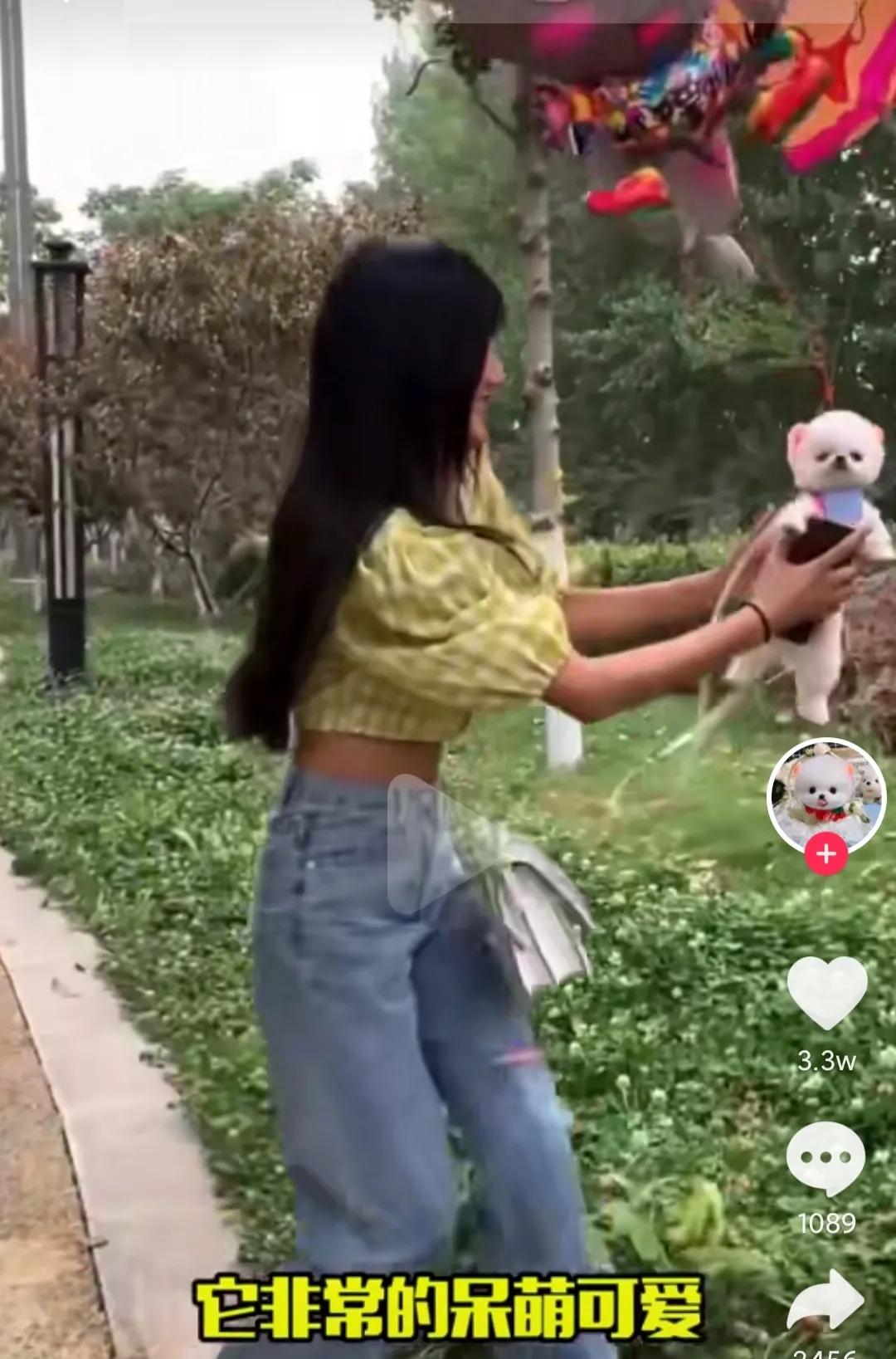 小巧可爱的茶杯犬，为什么那么少见？茶杯犬背后的残忍你想象不到