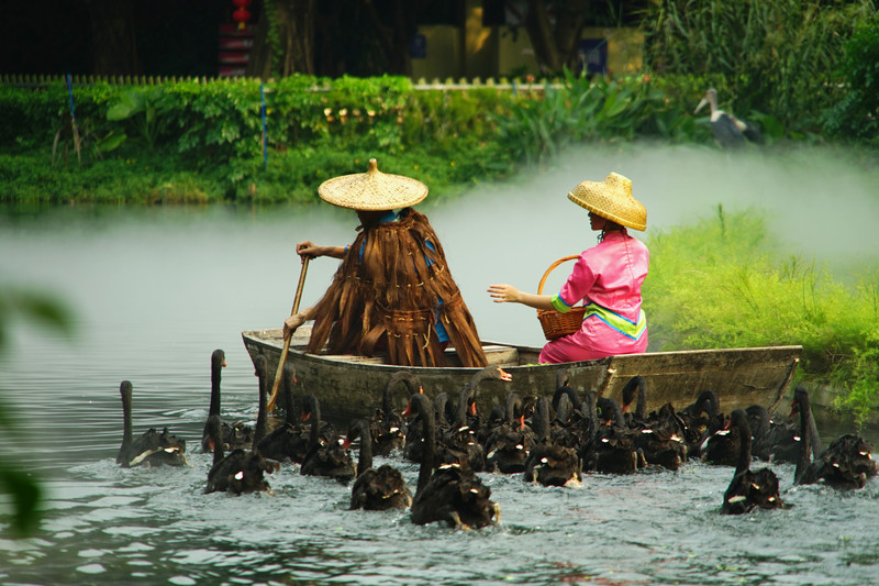三天三夜欢乐长隆之旅（附攻略）