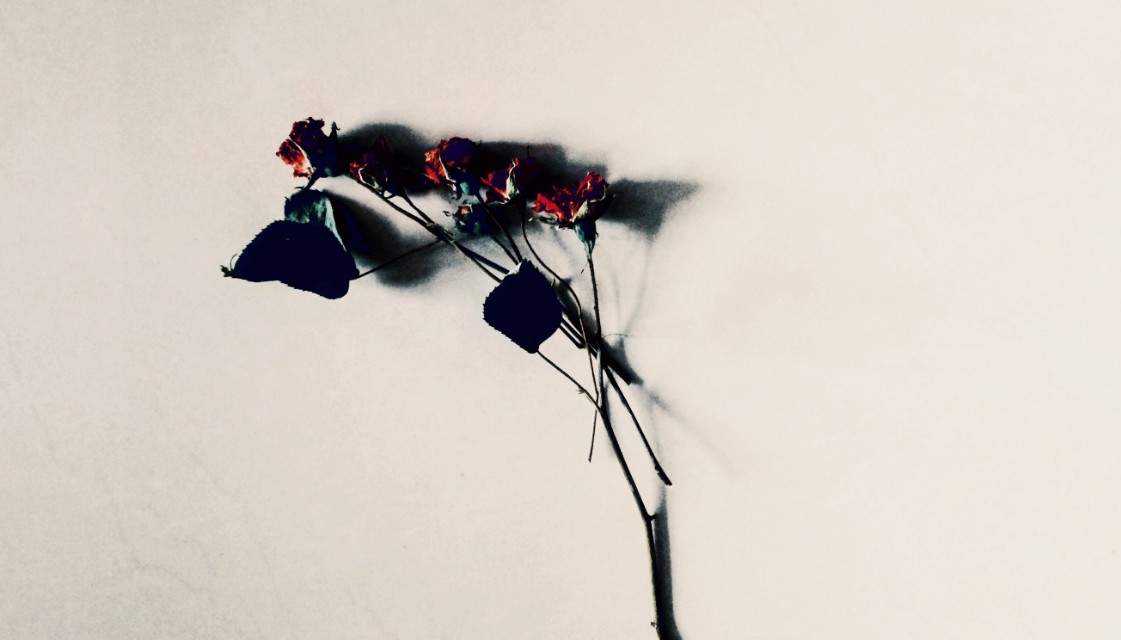 全国中小学生创新作文大赛特等奖作品10篇，满分作文的范文