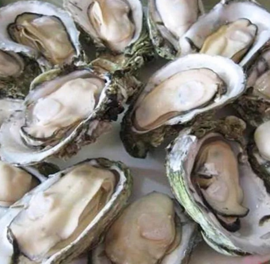 吃海鲜也要讲究“时令”，老渔民不会告诉你的海鲜日历，请收好