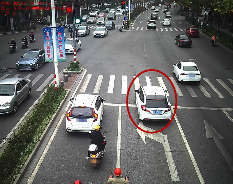 交通违法曝光！