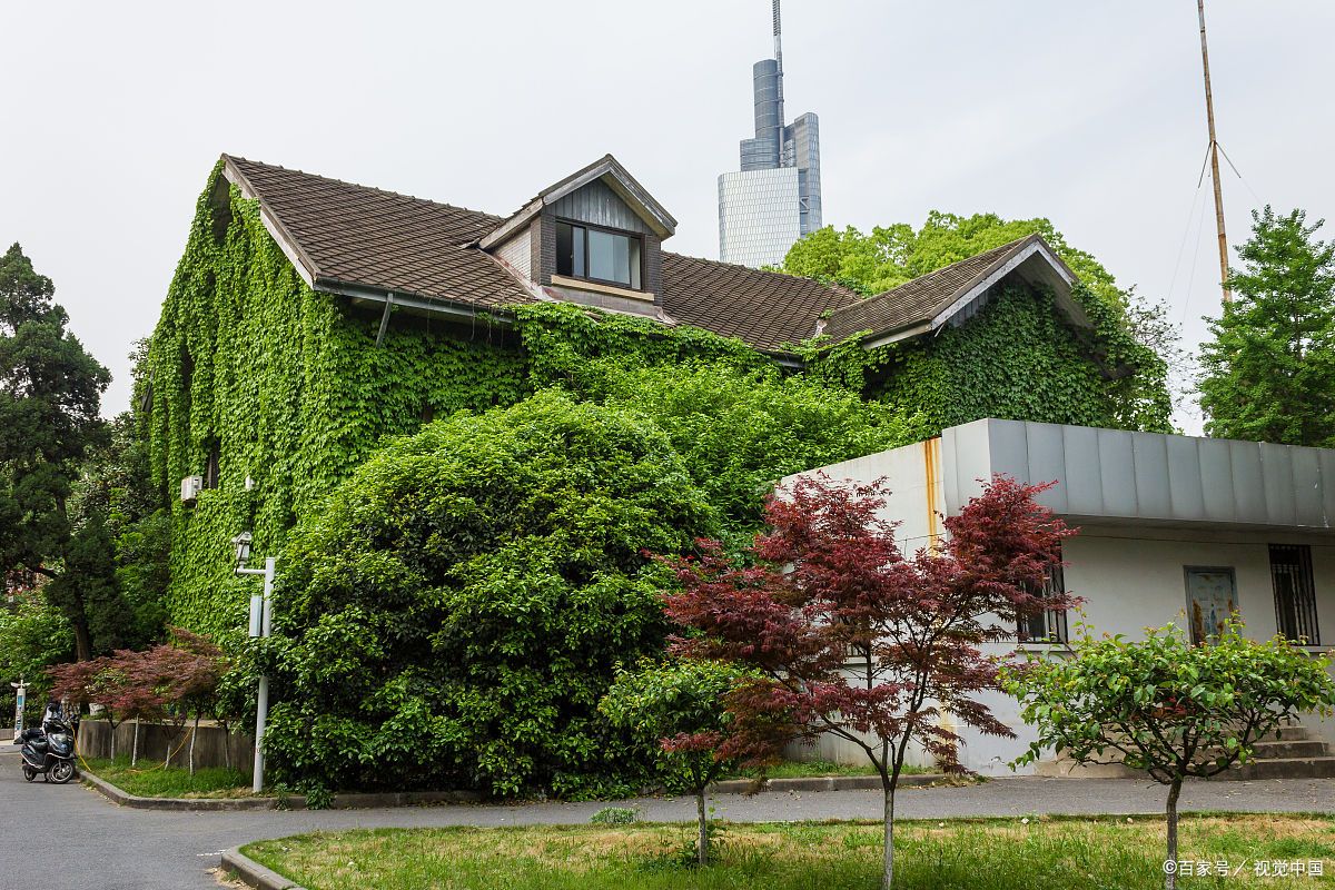 本科志愿想填哲学，但家里反对怎么办？附国内顶级哲学专业排名