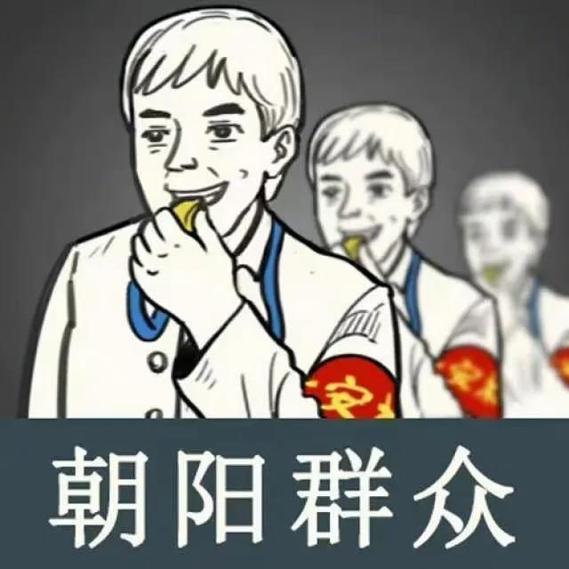 拿下李云迪，世界第五大情报组织“朝阳群众”的成神之路