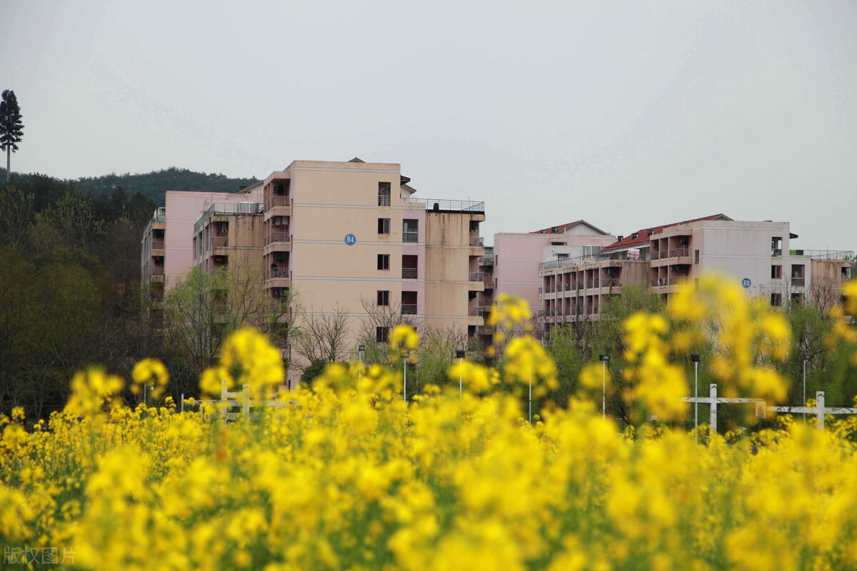 2022年研究生招生计划解读，研究分析，四所双一流高校考研数据