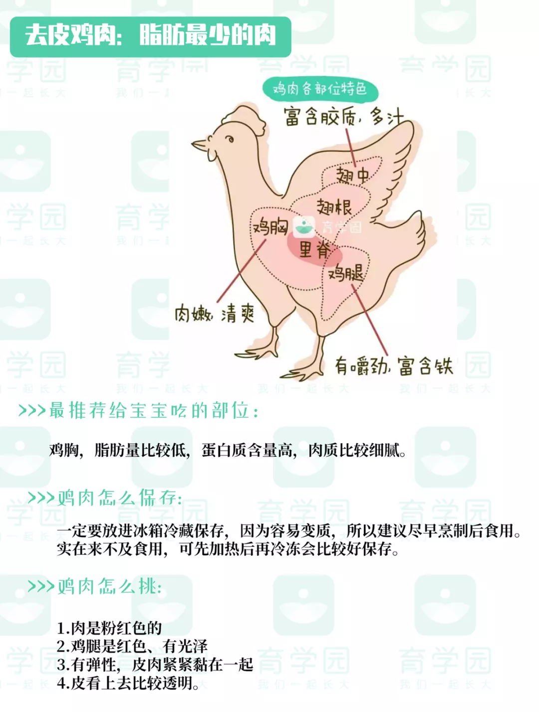 宝宝多大可以吃肉？什么肉最有营养？看这篇就够了