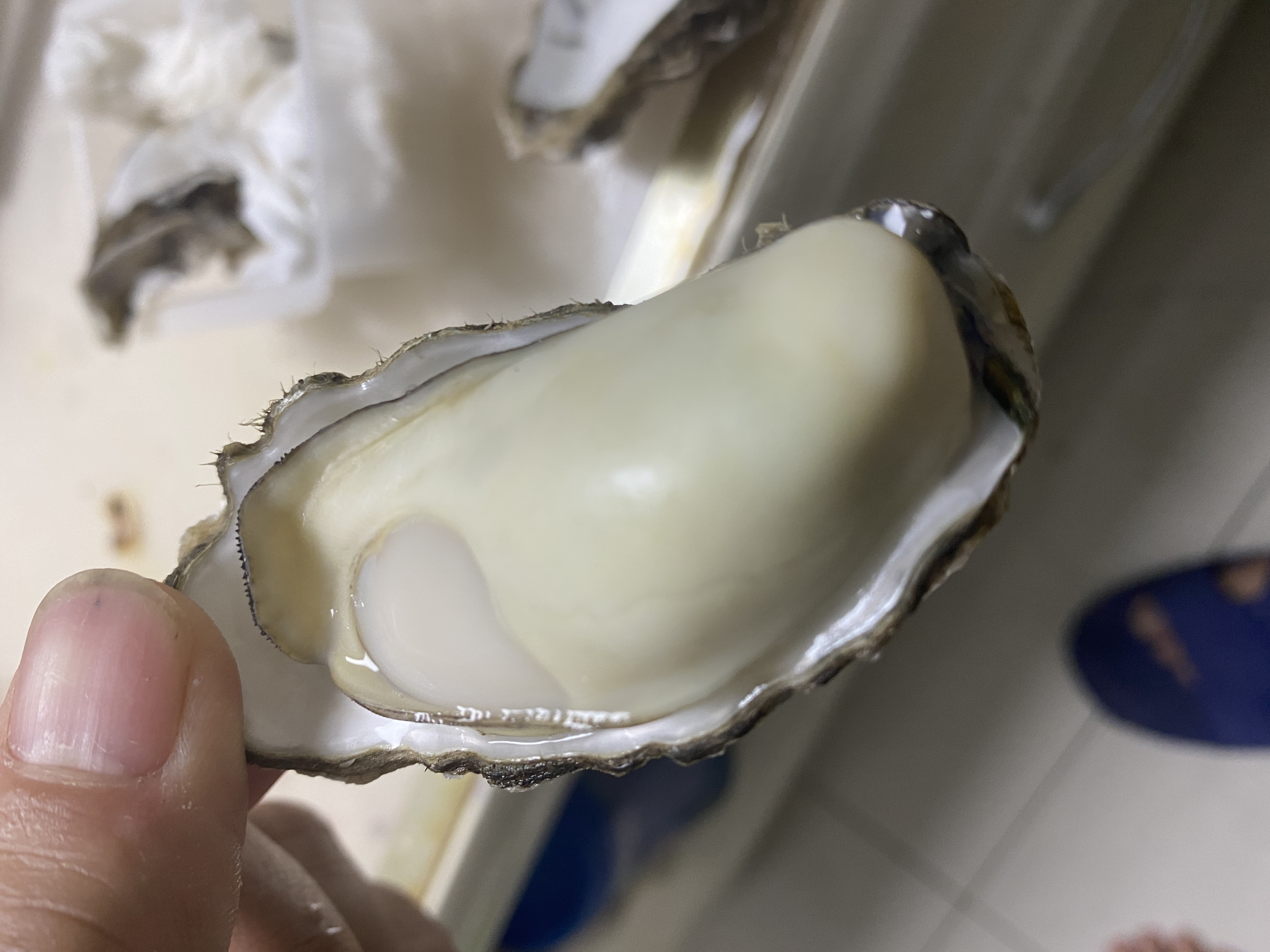 生蚝怎么做最好吃（分享生蚝烹饪的8种做法）