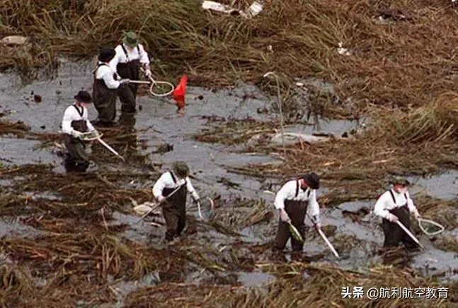 空难之后:那些改变现代航空史的飞行事故