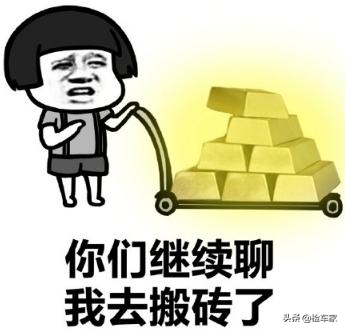 10年的丰田锐志要价9万？原来年份久的日系车也有这么多小毛病