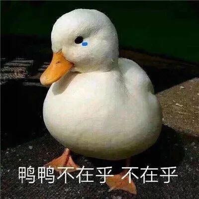 搞笑表情包~无水印