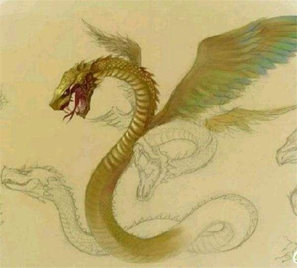 十二生肖蛇的来历 蛇在中国我文化中的地位 其来历比龙还早
