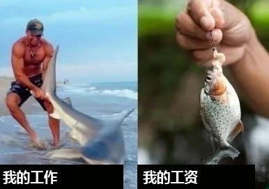 正在找工作的大家，主播运营这个岗位，你真的了解吗？