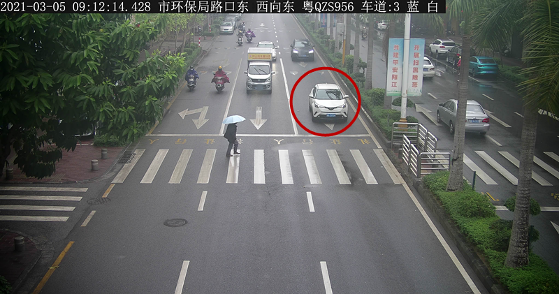 交通违法曝光！