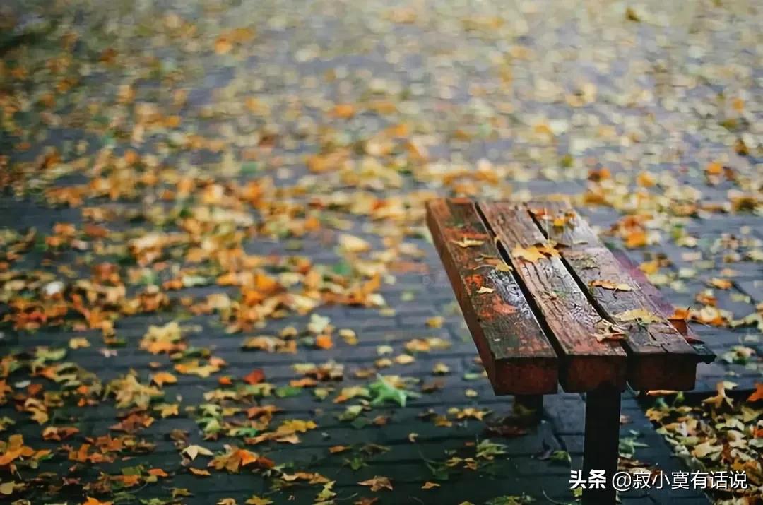 一阵秋风一阵爽，一场秋雨一场凉