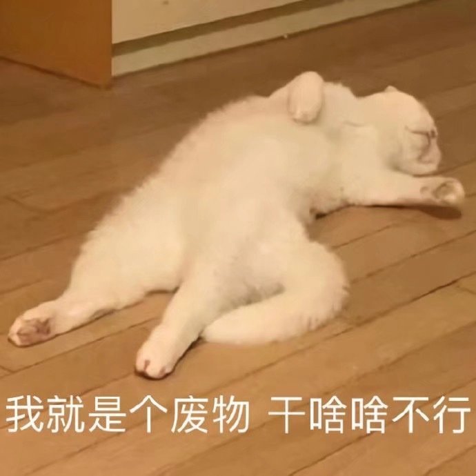 表情包：生活不易，猪猪自闭