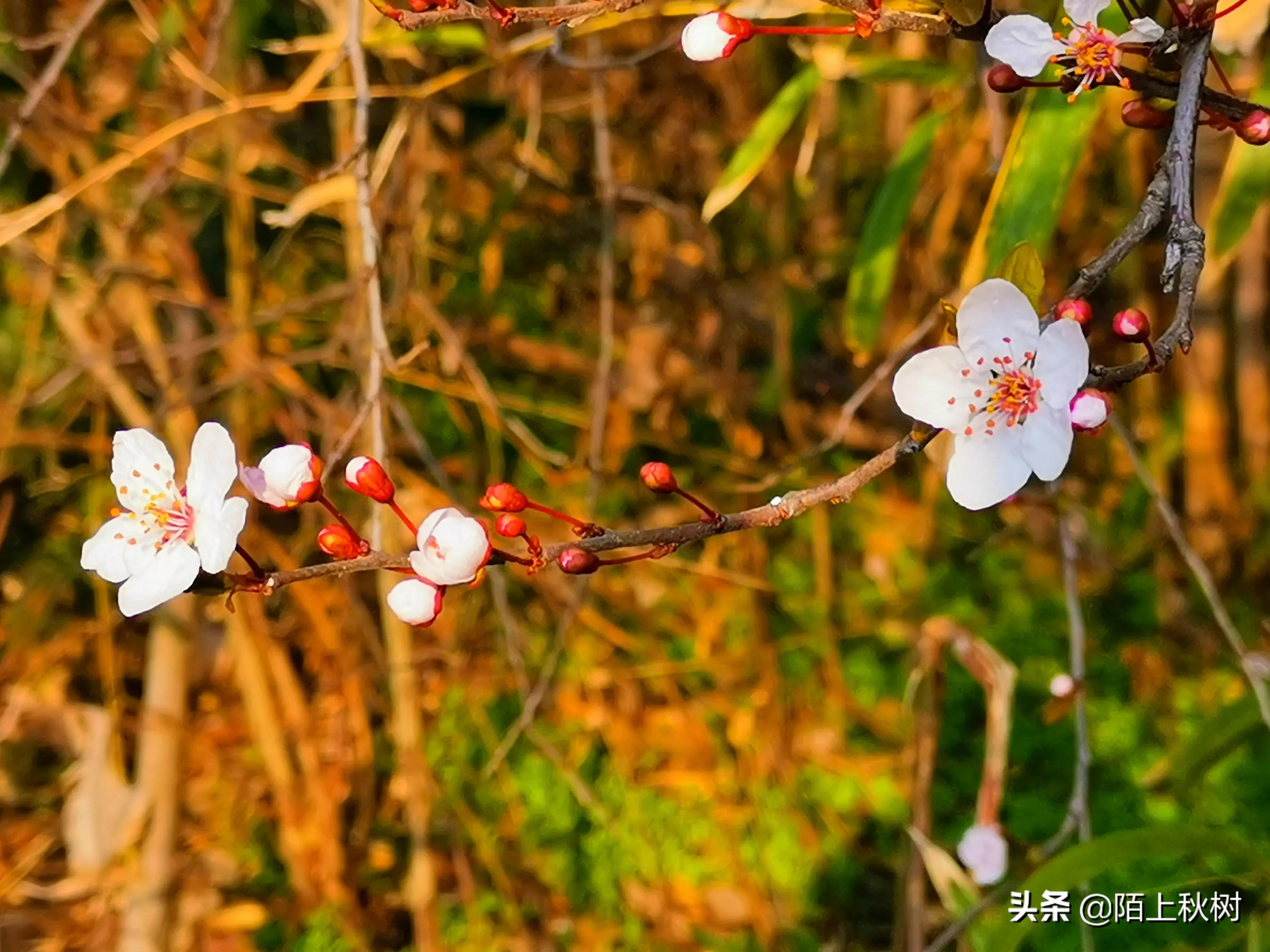 春雨如泪落无声，一滴三生梦断肠，润尽相思染天涯。