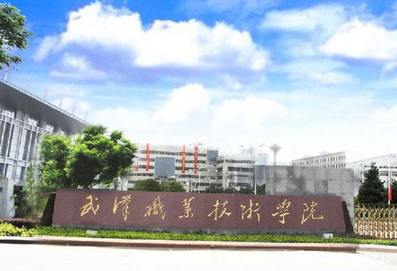 上不了本科不要急，为你推荐湖北省内最好职业技术学院及专业