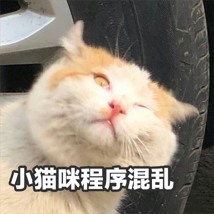 表情包：小猫咪程序混乱