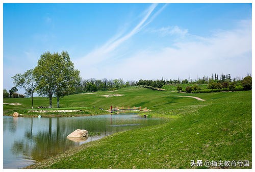 本科走不了别急，“双高计划”下专科报好也不错，哪些专科值得上