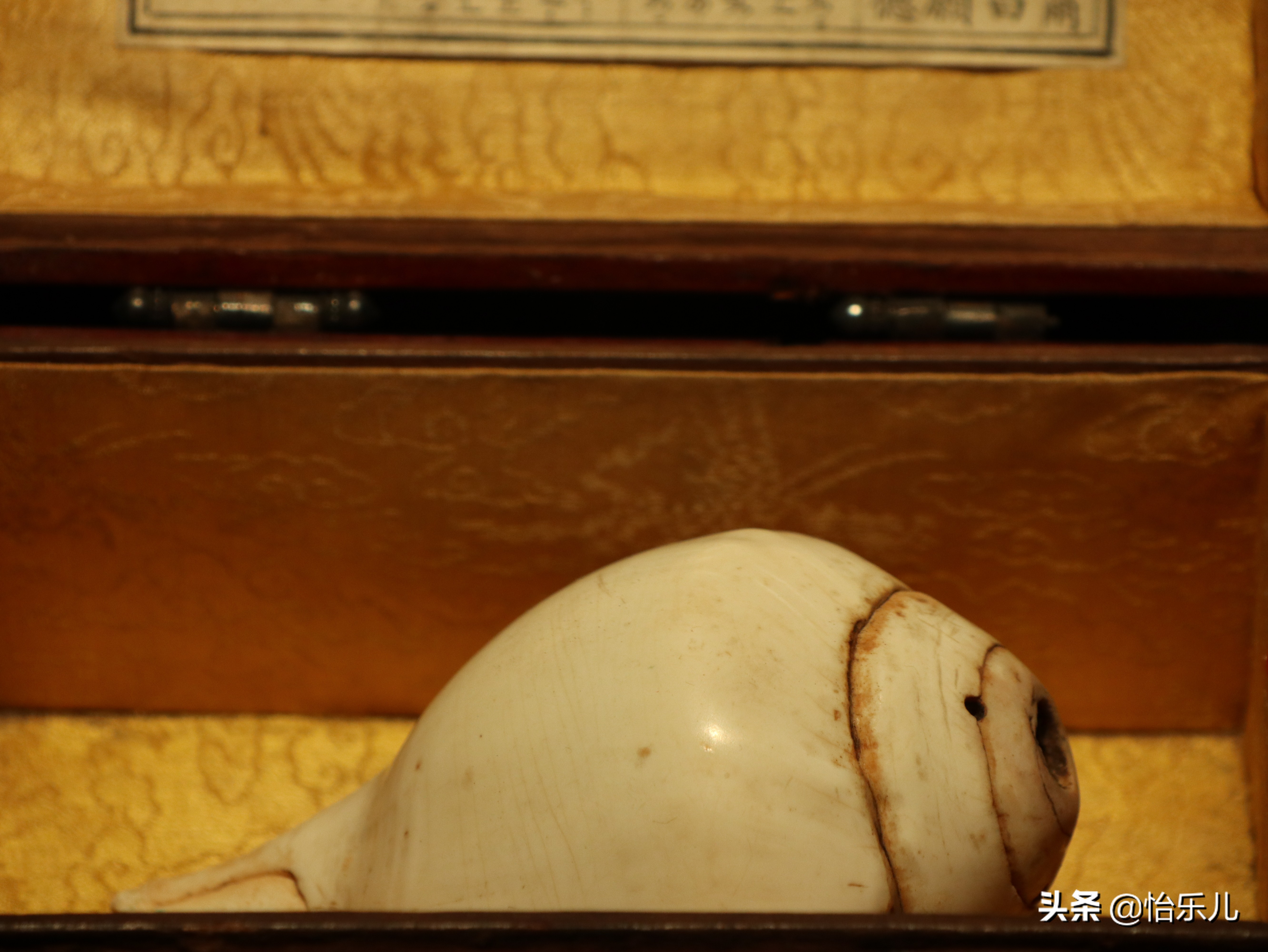 肉莲法器图片(喀章嘎) - 赤虎壹号