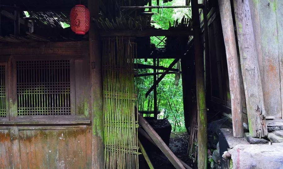 游山玩水好风光！四川适合全家出动的3日游攻略，去几次都不腻