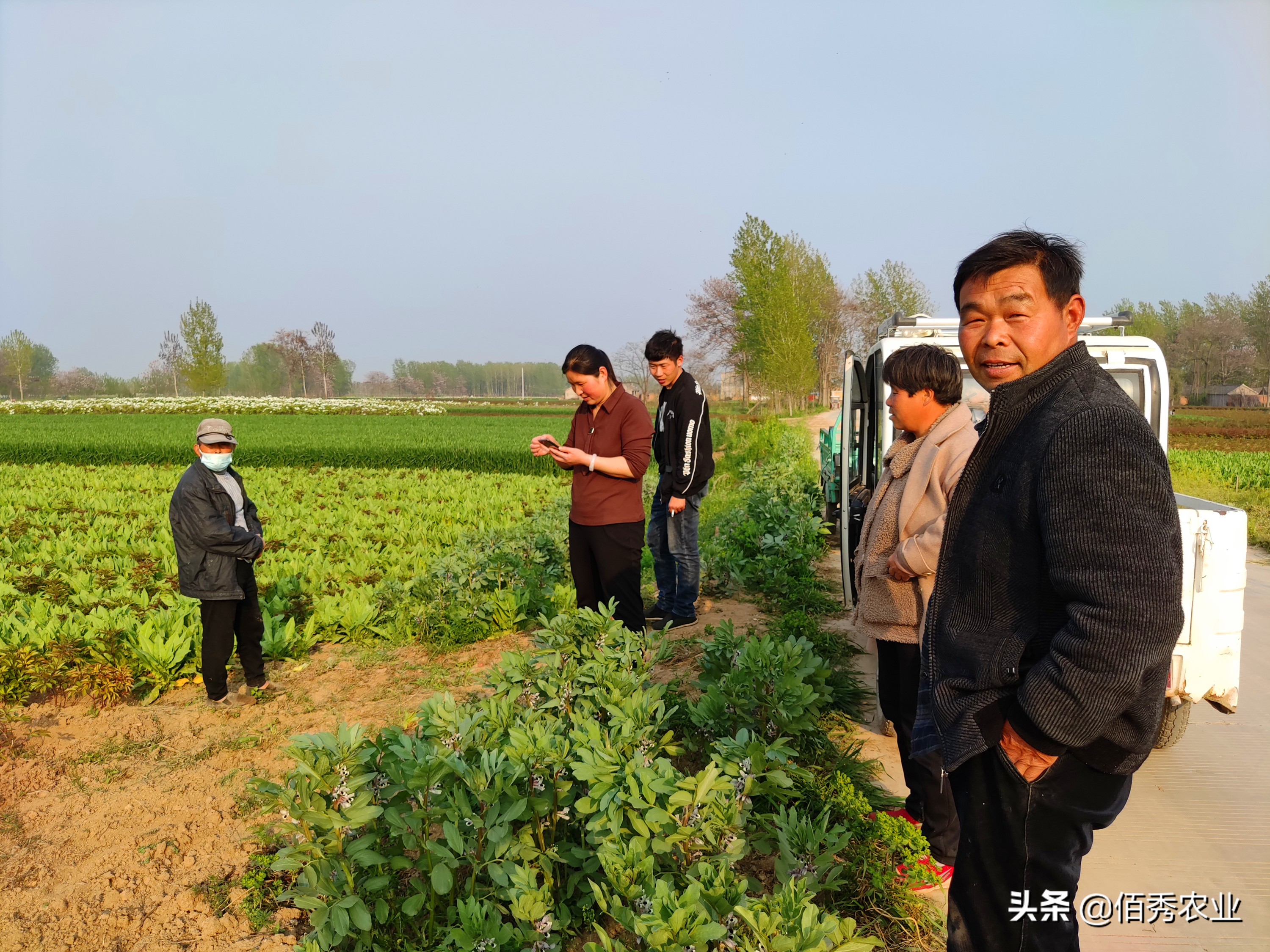 旁观者迷：种植大户不挣钱，为啥去农村承包土地的人那么多？