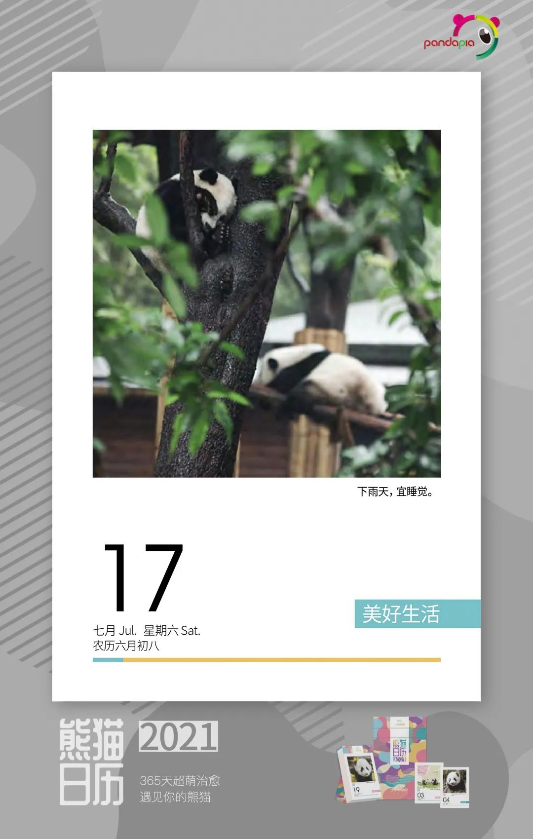 搬家朋友去送什么（朋友搬新家送点什么好）