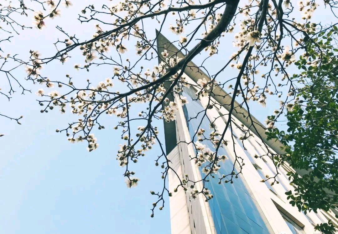 国内转型最成功的师范学院，从武汉师范学院到湖北大学