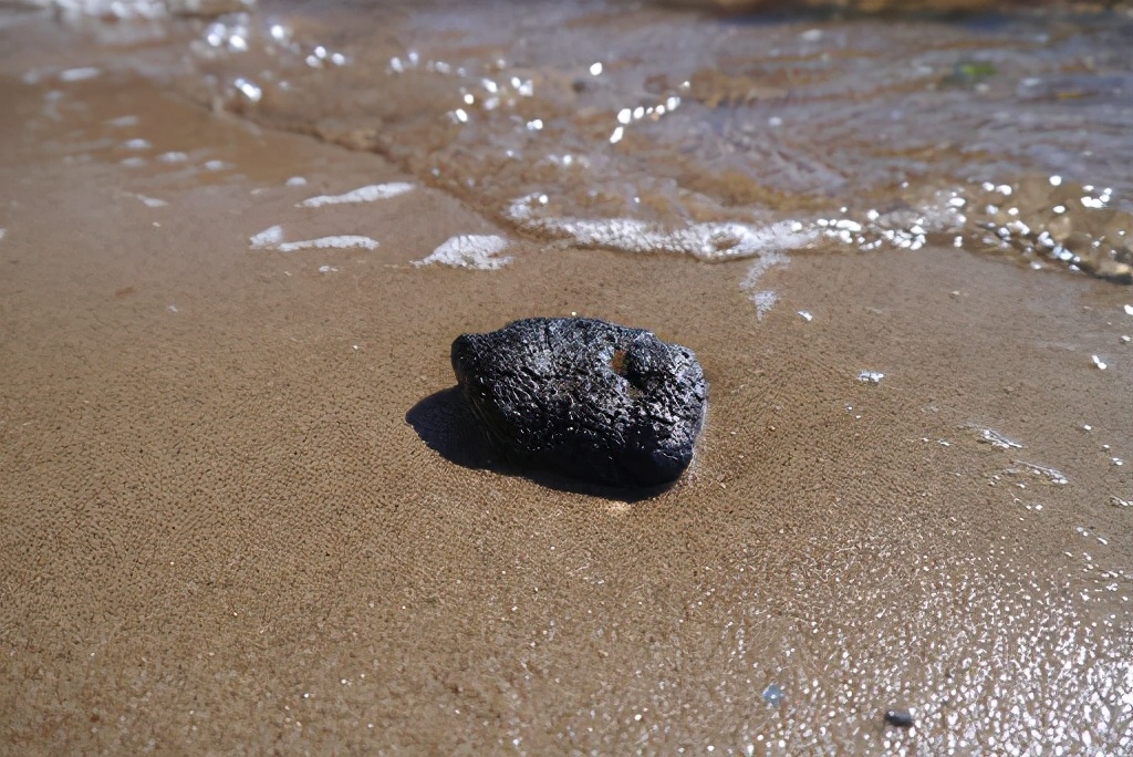 爱马仕机油官网价格表127公斤鲸鱼粪