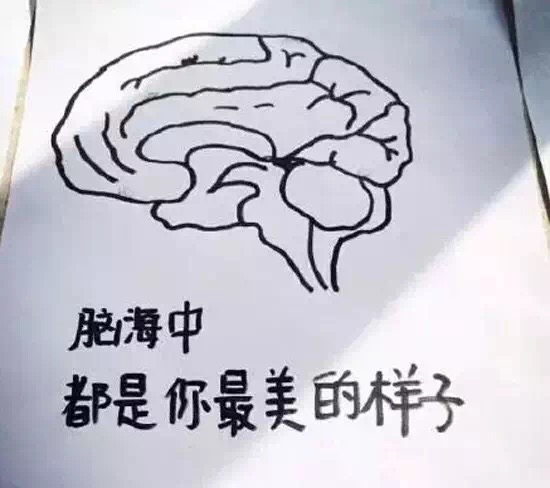 医学生520情话表情包：我愿成为你的皮肤，永远保护你