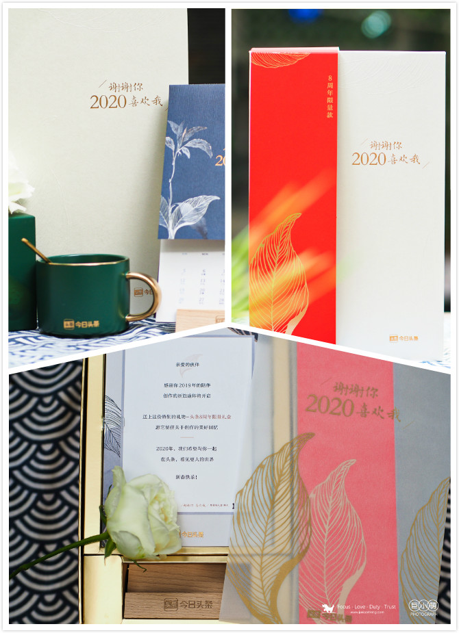 单月28次青云奖励+登顶头条宠物榜：巨小萌2019感谢有你