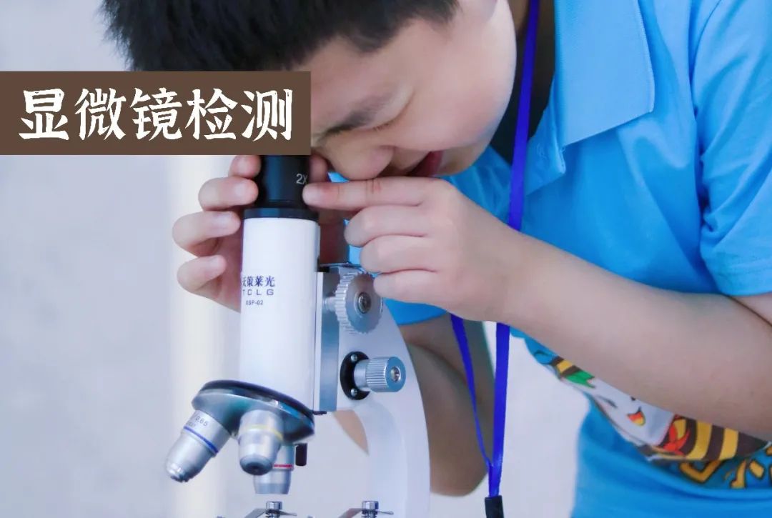 太原大成学校，为学生的终身发展奠基