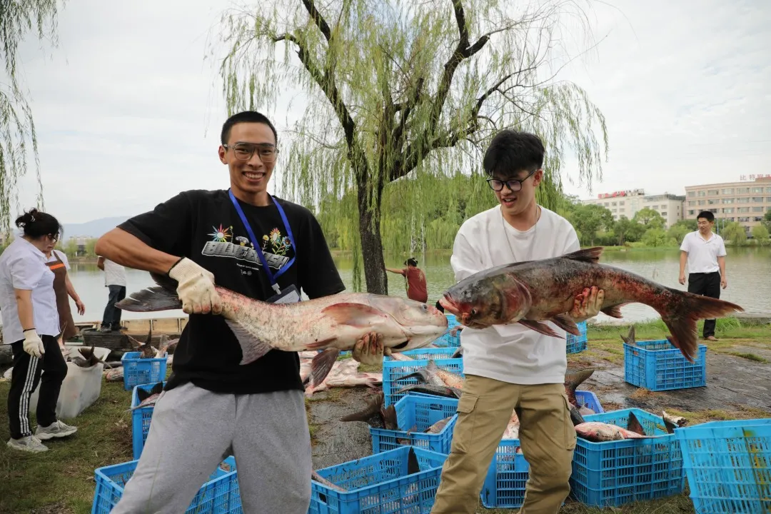 金职喊你免费吃鱼啦