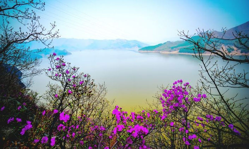 黑龙江25处最好玩的景区景点，无限风光，各具特色
