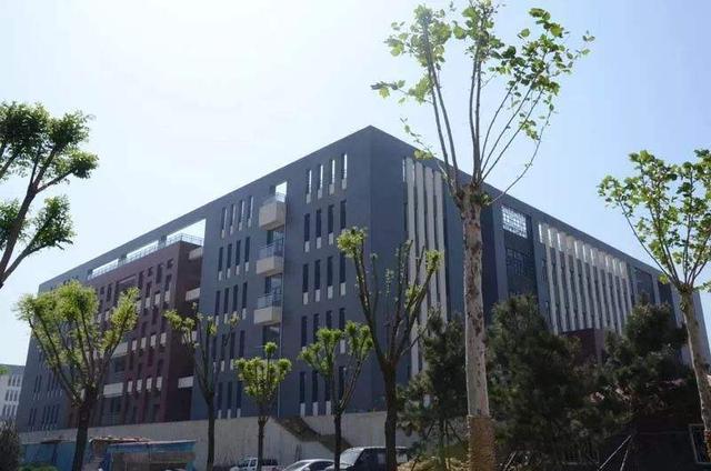 2020高考泰安有2人挺进省前6，2人挺进省前50，他们来自哪些高中