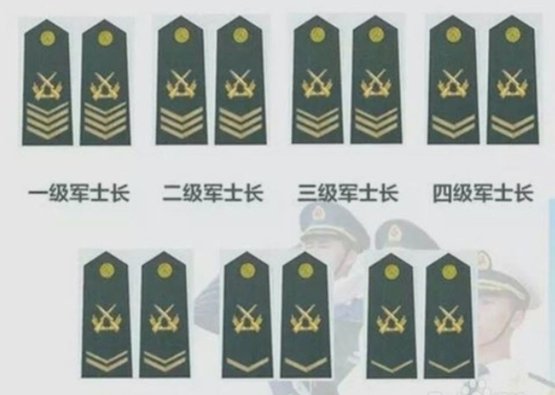 2021年定向士官的报考条件，报考流程培养模式及工作待遇相关问题