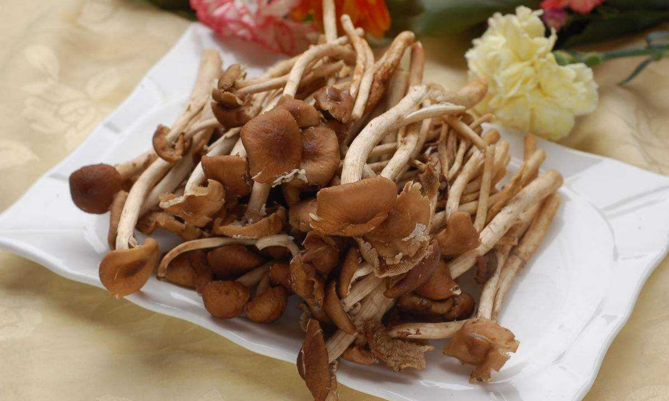 茶树菇炖肉的做法(香浓菇香，肉质鲜美的炖茶树菇佳肴)