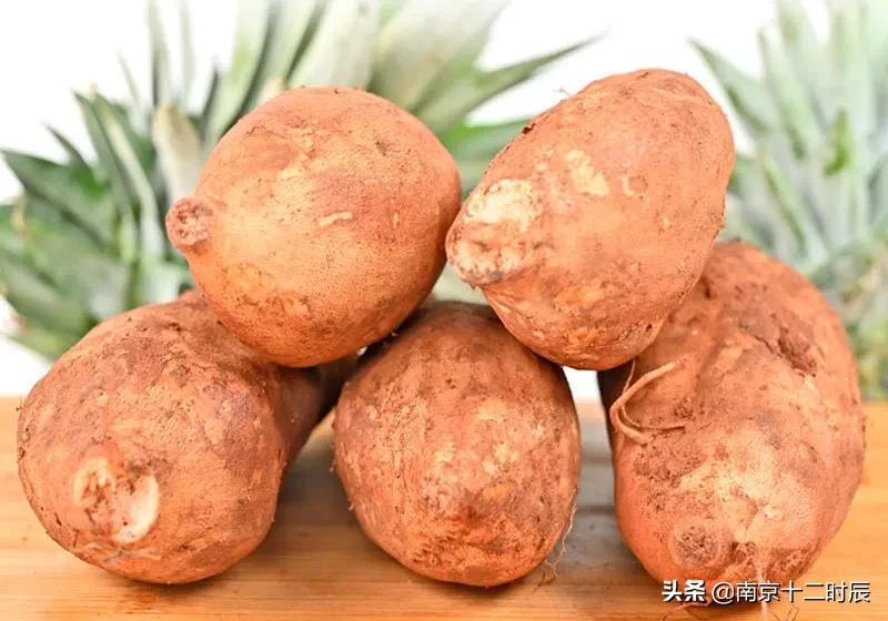 雪莲果哪儿产的最好吃（揭秘脆甜多汁的雪莲果原产地）