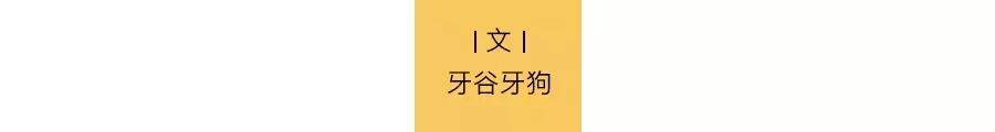 郎平世界杯发言视频(郎平：再见……)