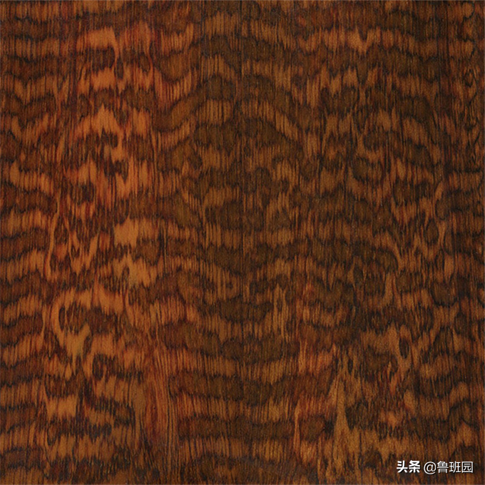 木质情怀 | 木材界钢铁与羽毛的碰撞