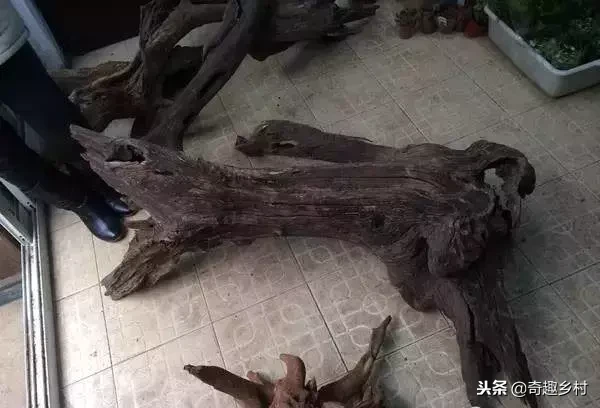 院子里应该有个小池塘，没有就自己动手挖个！（附实际操作图）