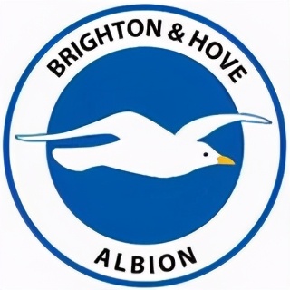 海鸥队徽布莱顿——俱乐部队徽上的海鸥一直是海滨城市布莱顿的象征